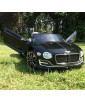 Bentley EXP 12 with 2.4G R/C under Licence