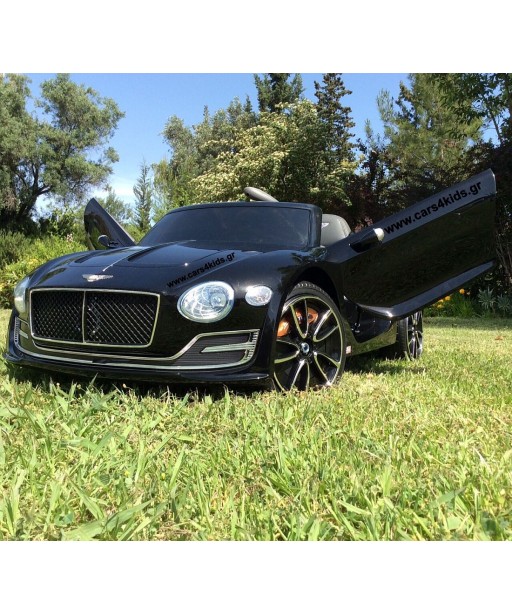 Bentley EXP 12 Painting Black with 2.4G R/C under Licence